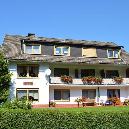 Fewo Wilke Willingen  Bagian luar foto