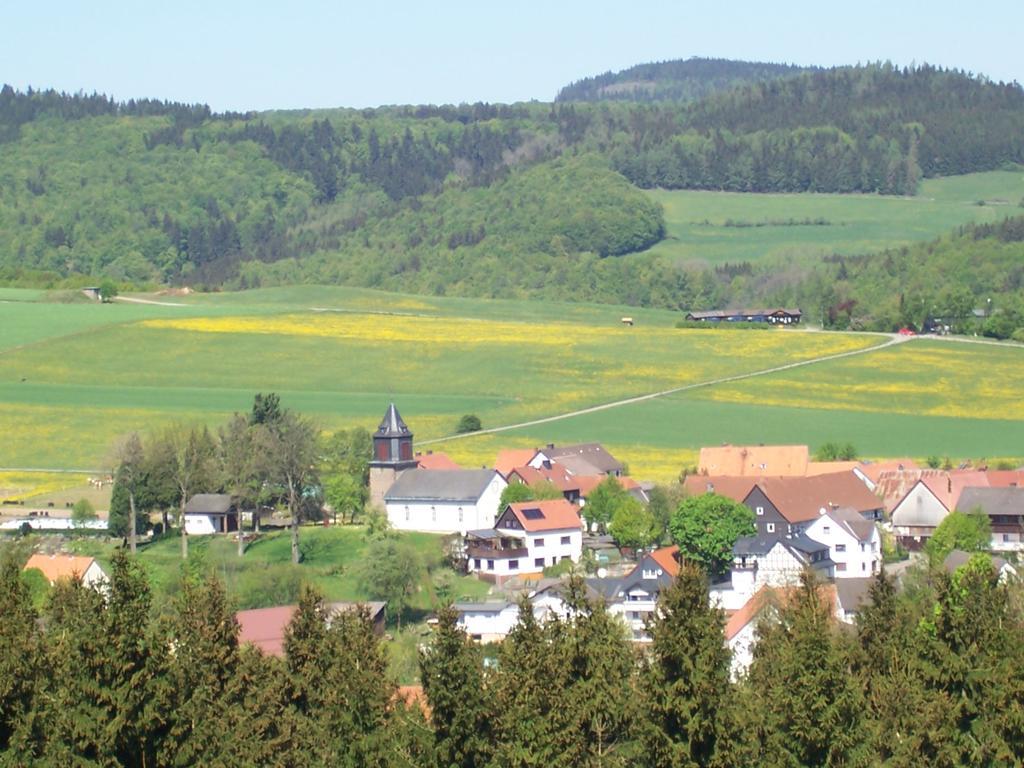Fewo Wilke Willingen  Bagian luar foto