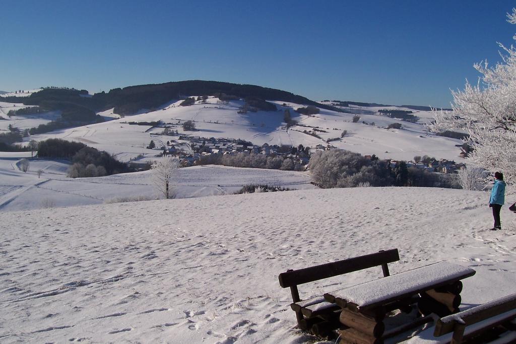 Fewo Wilke Willingen  Bagian luar foto
