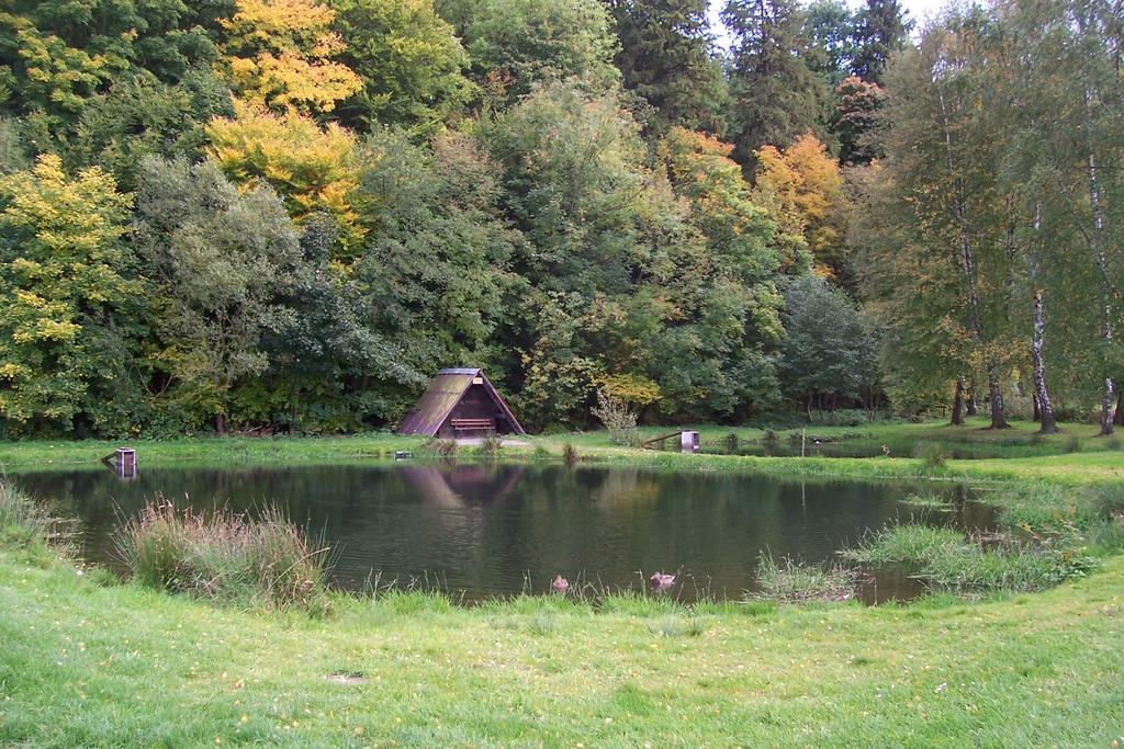 Fewo Wilke Willingen  Bagian luar foto