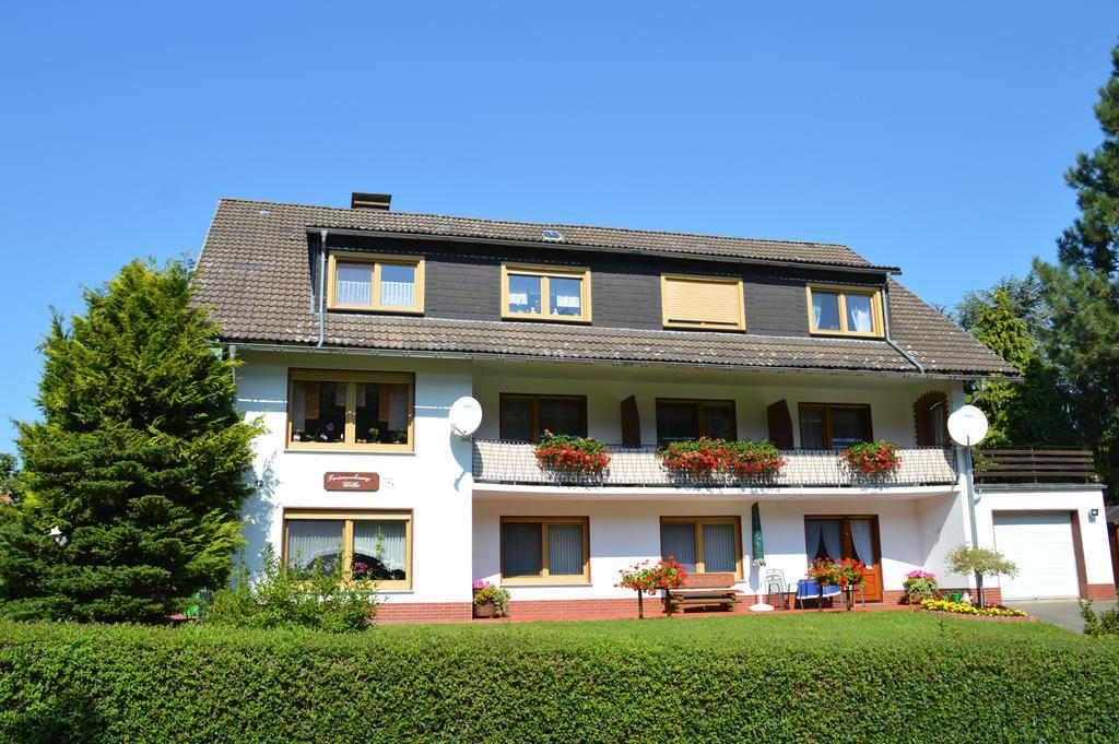 Fewo Wilke Willingen  Bagian luar foto
